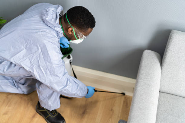 Best Real Estate Pest Inspections  in Alhambra, CA